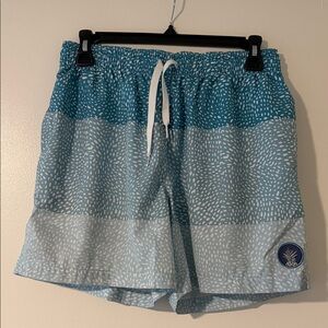 Chubbies Teal and Light Blue Swim Trunks